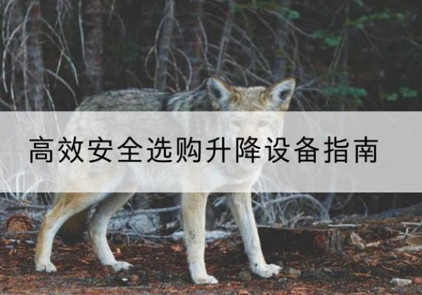 巴林左旗升降货梯厂家推荐-*安全选购升降设备指南