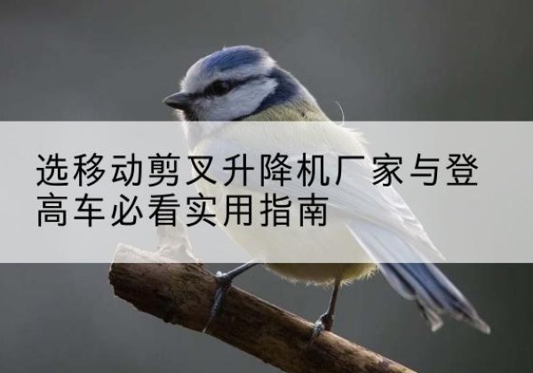 巴林左旗电动升降机厂家-选移动剪叉升降机厂家与登高车必看实用指南