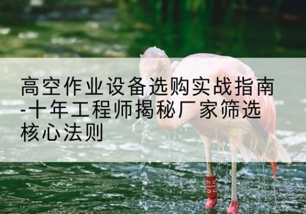 巴林左旗剪叉式升降机厂家-高空作业设备选购实战指南-十年工程师揭秘厂家筛选核心法则